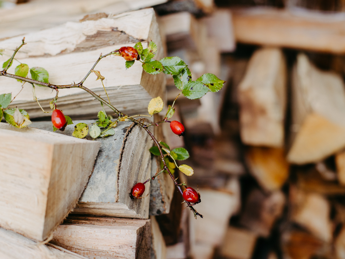 Prechtlgut Prechtlgut