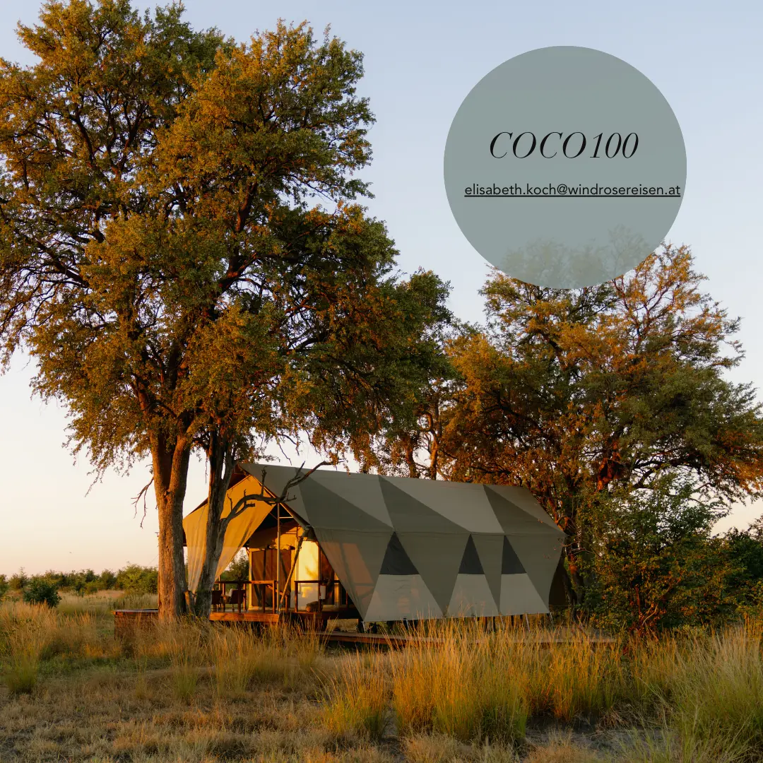 COCOtravel Wilderness Mokete Deal