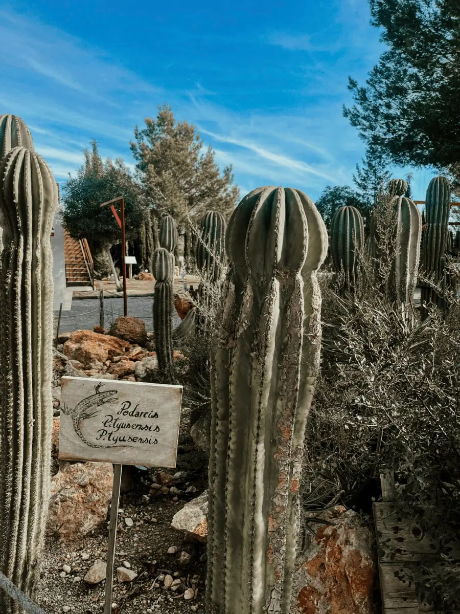 COCOTravel SantAntoni BIBOPark