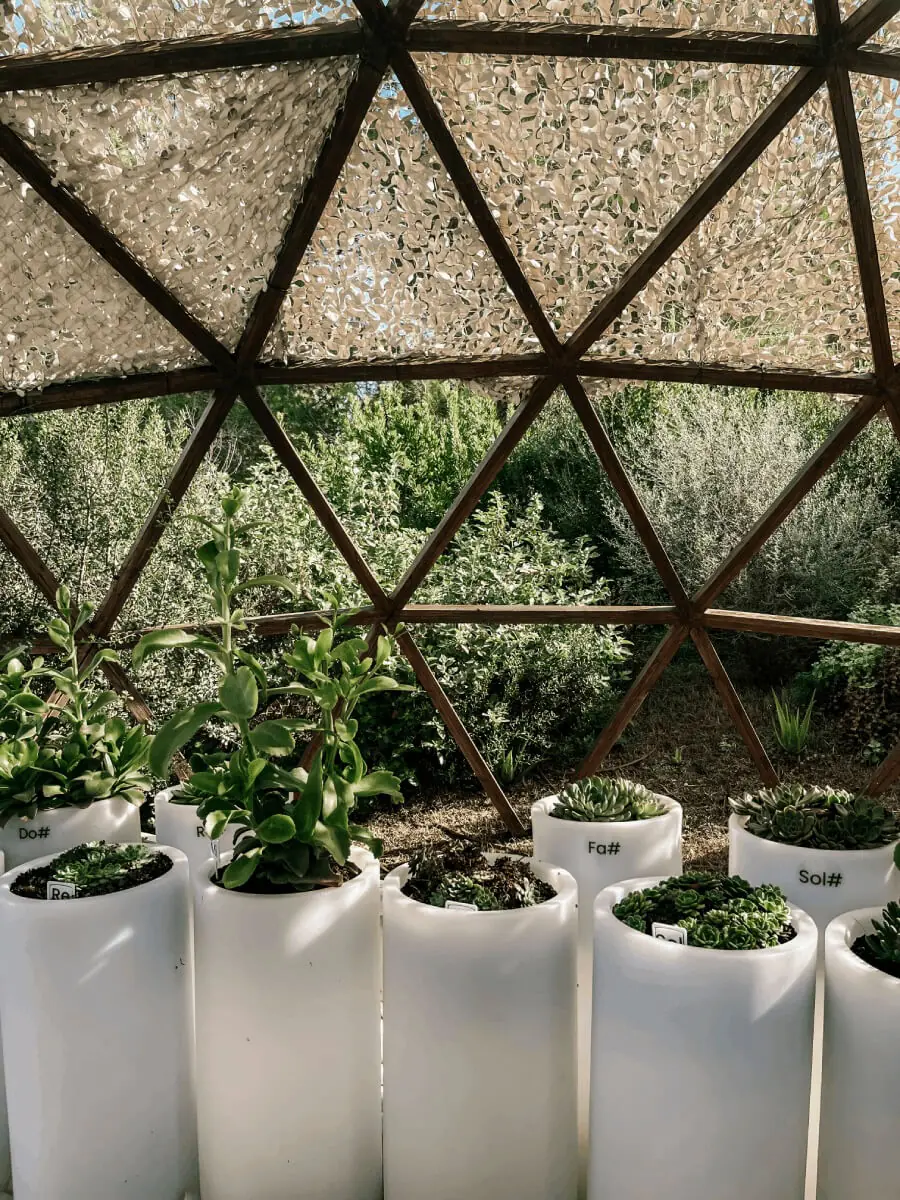 COCOTravel SantAntoni BIBOPark Piano