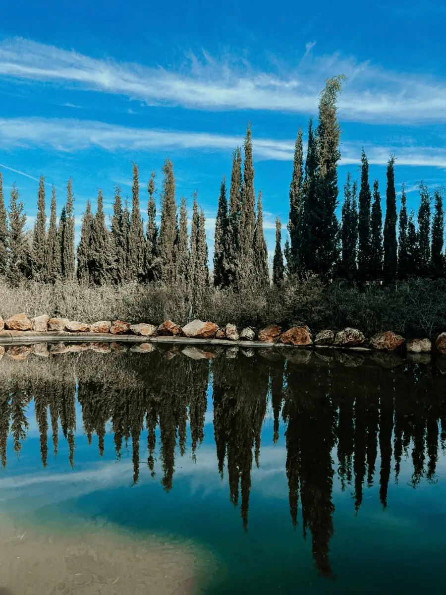 COCOTravel SantAntoni BIBOPark See