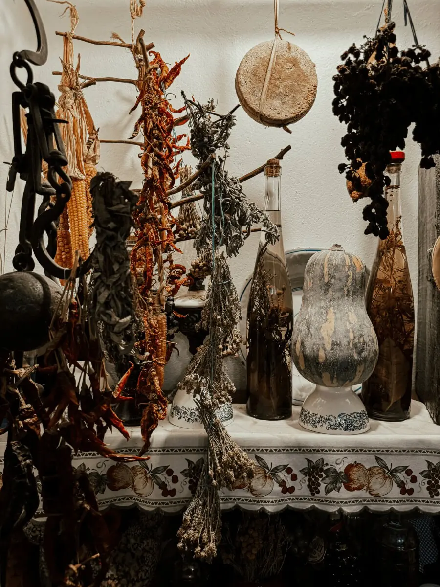 COCOTravel SantAntoni Es Rebost2