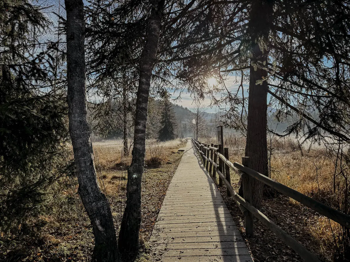 COCOtravel Oesterreich Kitzbuehel Kitzhof Schwarzsee 2 COCOtravel Oesterreich Kitzbuehel Kitzhof Schwarzsee 2