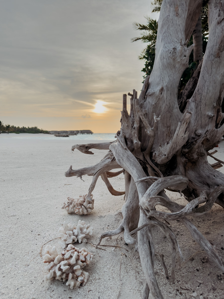 COCOtravel Patina Malediven Helios Sunset Dinner 8