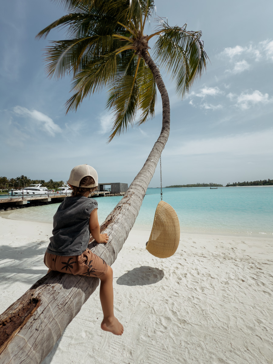 COCOtravel Patina Malediven Strand Palme 3