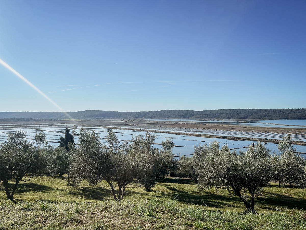 COCOtravel Slowenien Portoroz Kempinski Palace Meersalz Gewinnung