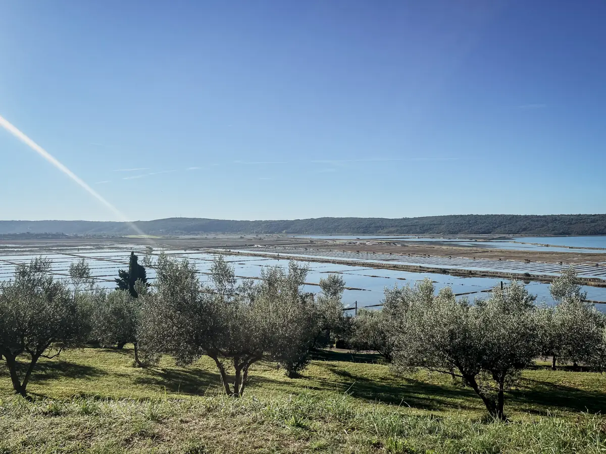 COCOtravel Slowenien Portoroz Kempinski Palace Meersalz Gewinnung COCOtravel Slowenien Portoroz Kempinski Palace Meersalz Gewinnung