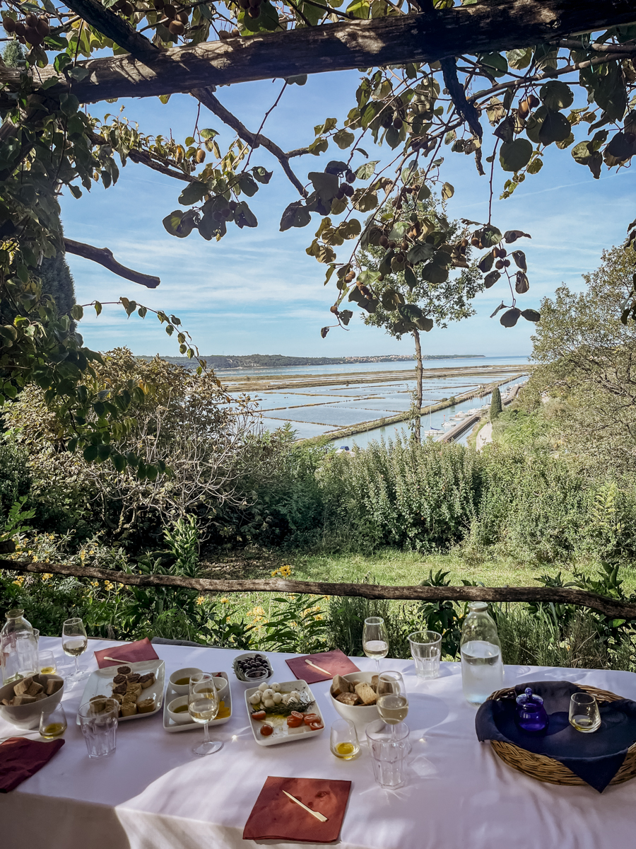 COCOtravel Slowenien Portoroz Kempinski Palace Olivenoelverkostung