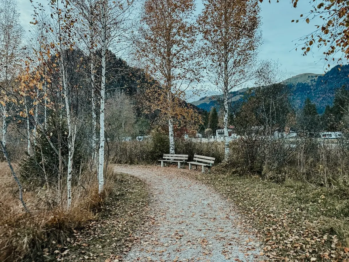 quer seeweg COCOtravel lakeside walchsee quer seeweg COCOtravel lakeside walchsee