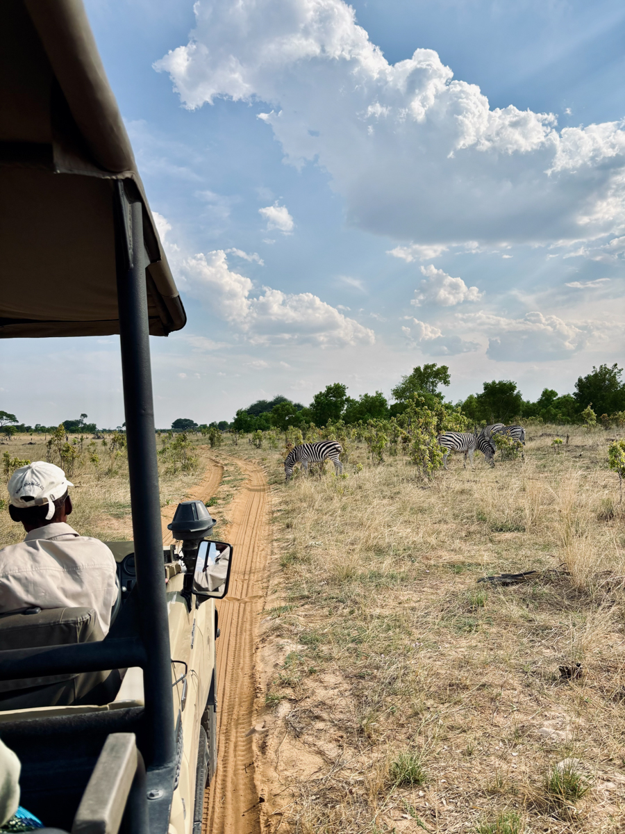 COCOtravel Suedafrika RovosRail Safari GameDrive 12