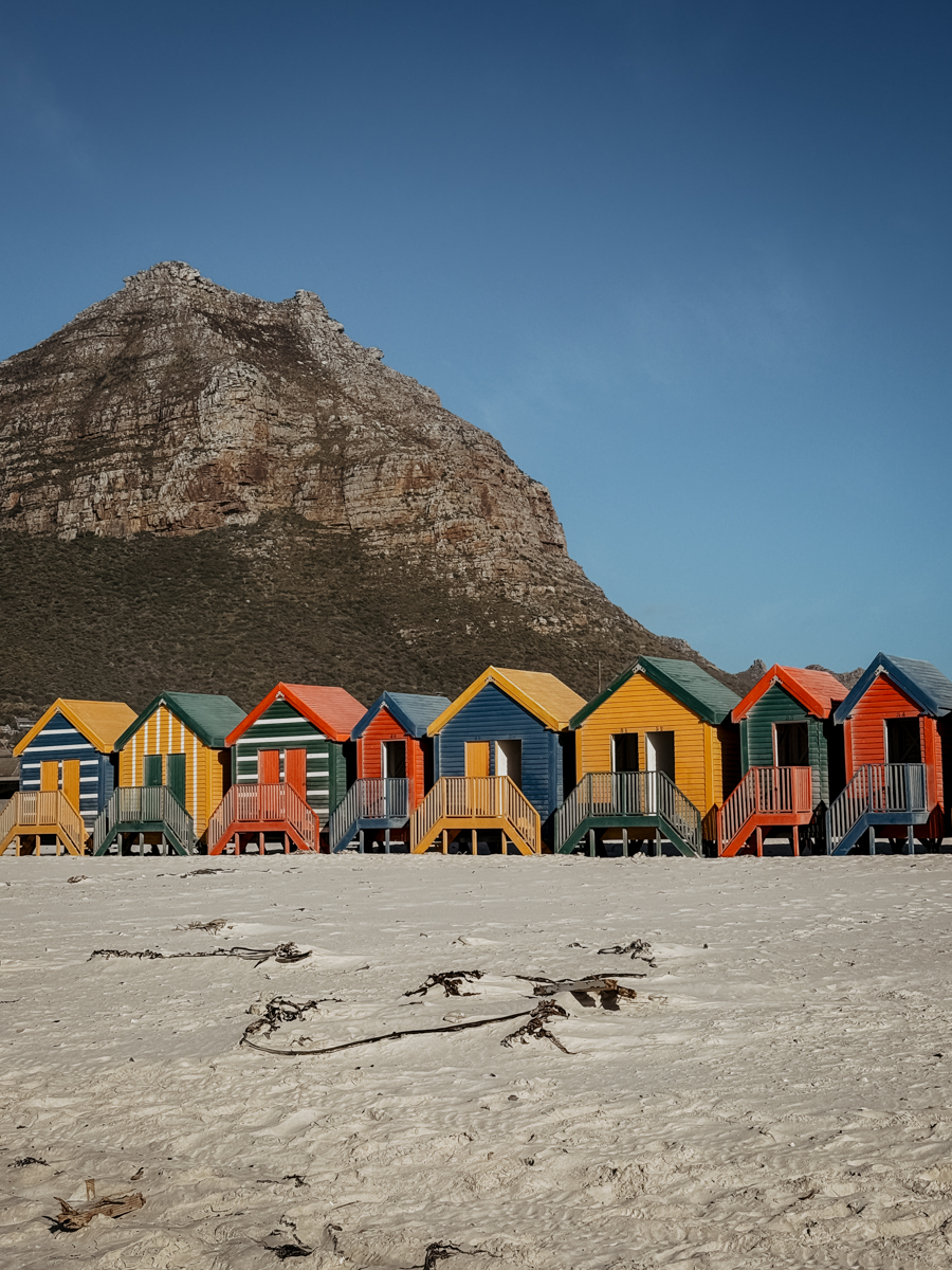 COCOtravel Suedafrika StJamesManorGuesthouse Ausflug 24 COCOtravel Suedafrika StJamesManorGuesthouse Ausflug 24