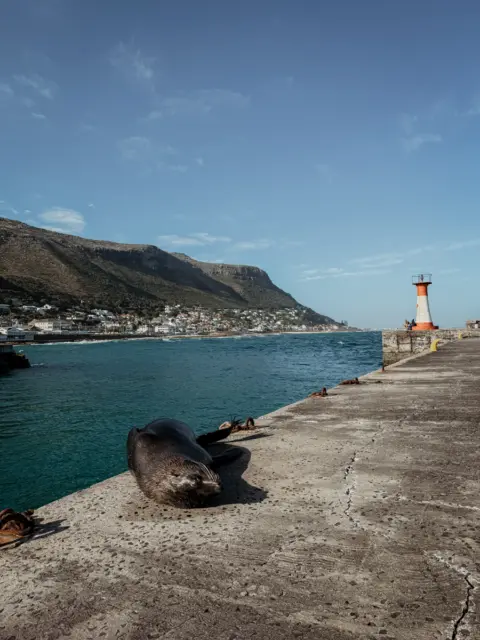 COCOtravel Suedafrika StJamesManorGuesthouse Kalkbay 17 480x640.jpg
