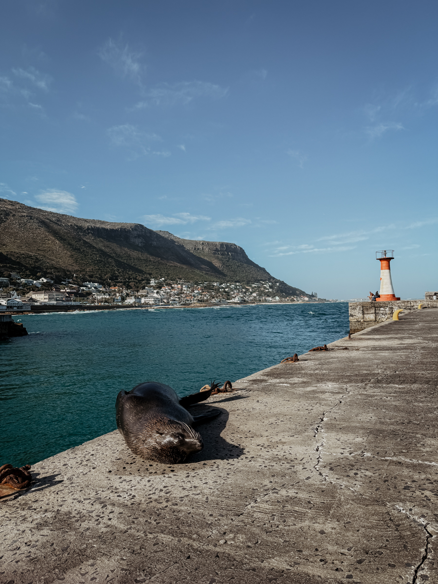 COCOtravel Suedafrika StJamesManorGuesthouse Kalkbay 17 COCOtravel Suedafrika StJamesManorGuesthouse Kalkbay 17