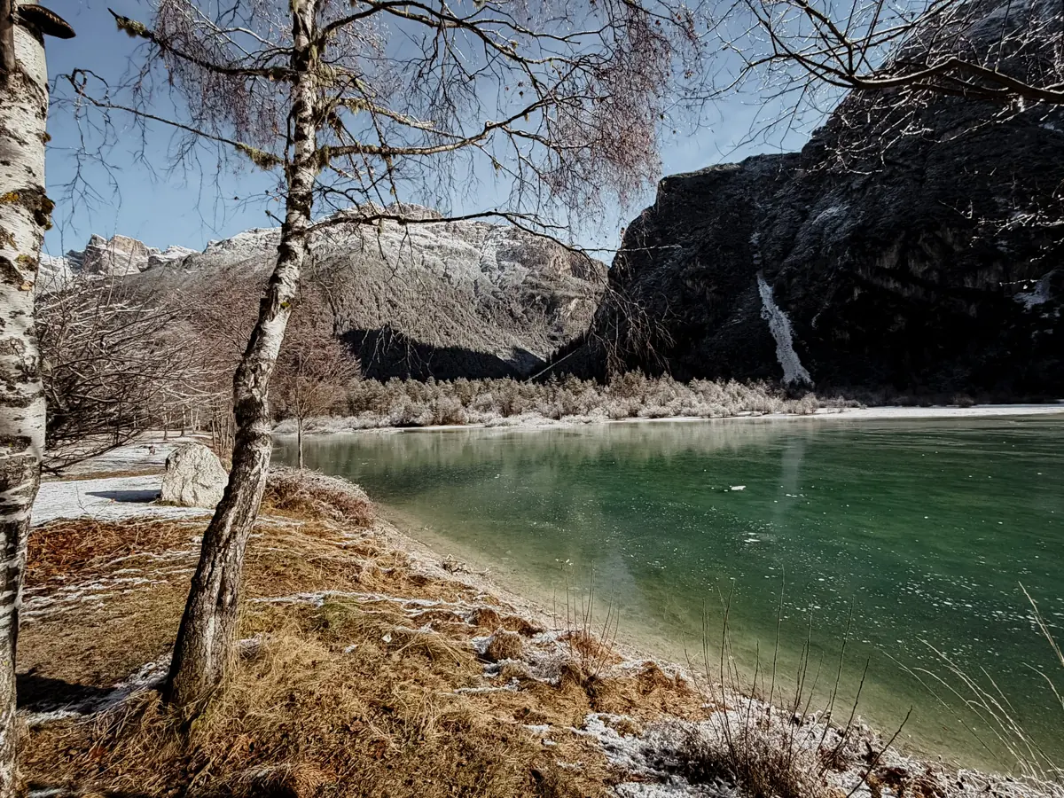 COCOtravel Südtirol Leitlhof BirkeamSee COCOtravel Südtirol Leitlhof BirkeamSee