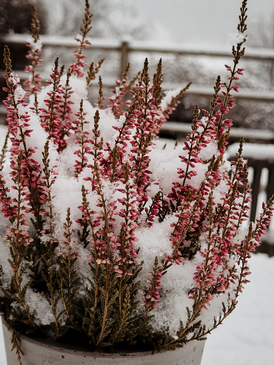 COCOtravel Südtirol Leitlhof Erika