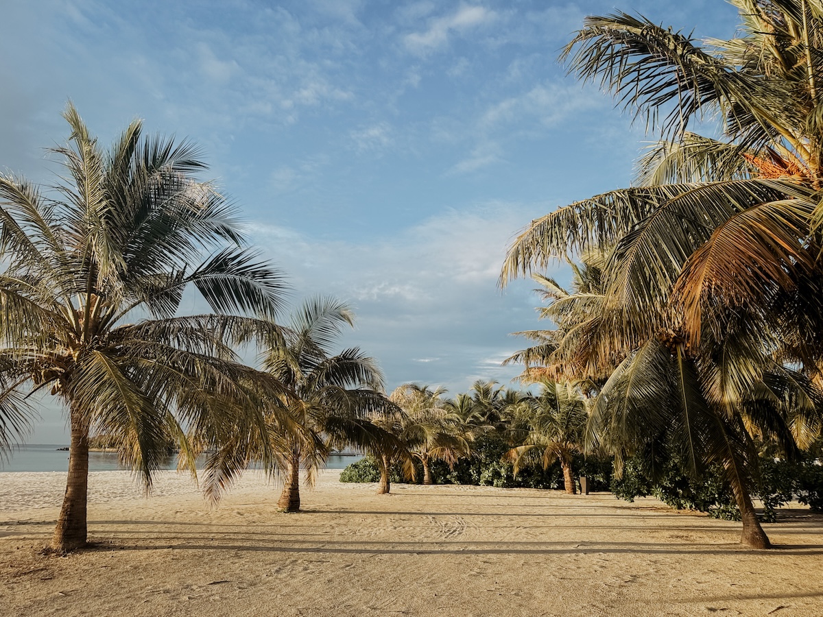 quer COCOtravel villa nautica maldives beach palmen quer COCOtravel villa nautica maldives beach palmen