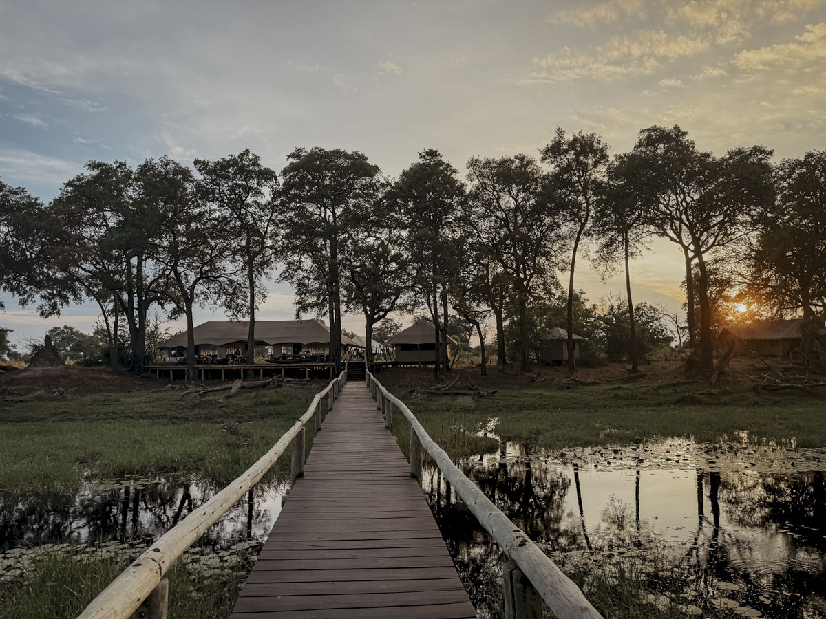 COCOtravel Botswana GreatPlains DubaExplorersCamp Camp AllgemeinerBereich 10