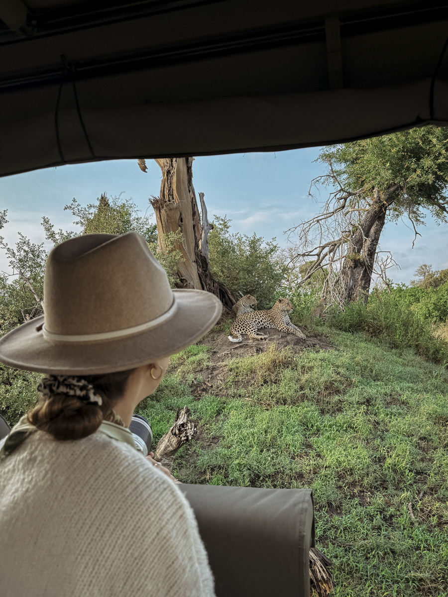 COCOtravel Botswana GreatPlains DubaExplorersCamp Safari GameDrive 135