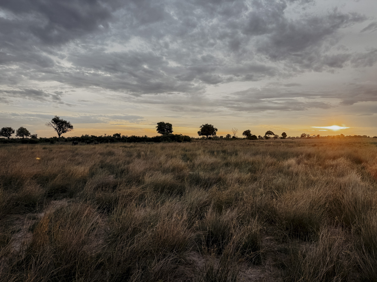 COCOtravel Botswana GreatPlains DubaExplorersCamp Safari GameDrive 92