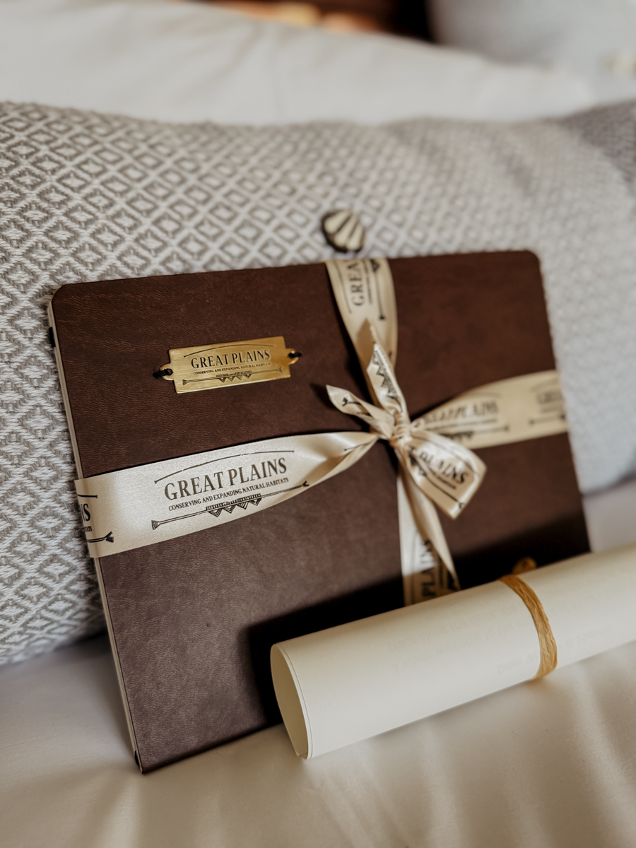 COCOtravel Botswana GreatPlains OkavangoExplorersCamp Room 21