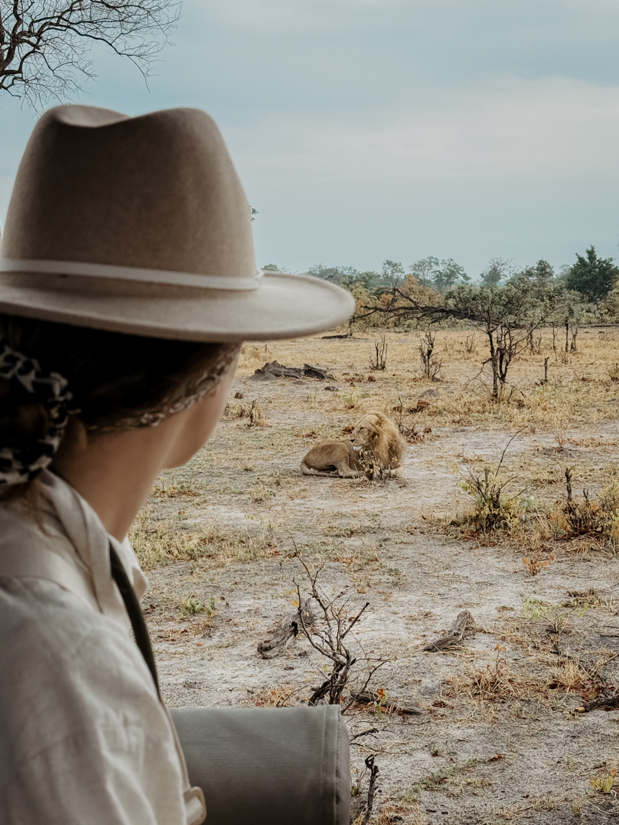 COCOtravel Botswana GreatPlains OkavangoExplorersCamp Safari 35