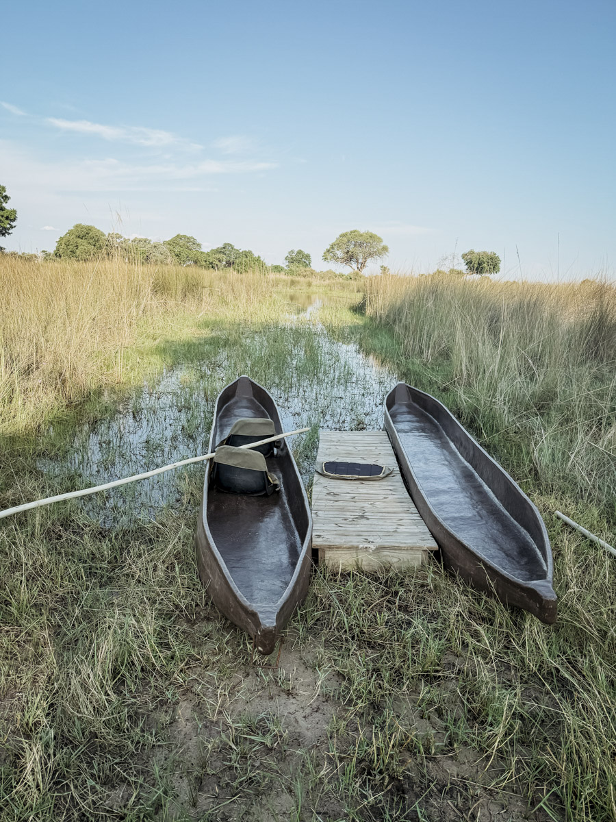 COCOtravel Botswana GreatPlains SitatungaPrivateIsland Safari 22 COCOtravel Botswana GreatPlains SitatungaPrivateIsland Safari 22