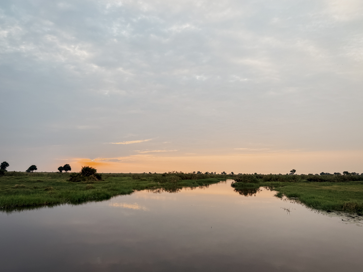 COCOtravel Botswana GreatPlains SitatungaPrivateIsland Safari 59 COCOtravel Botswana GreatPlains SitatungaPrivateIsland Safari 59