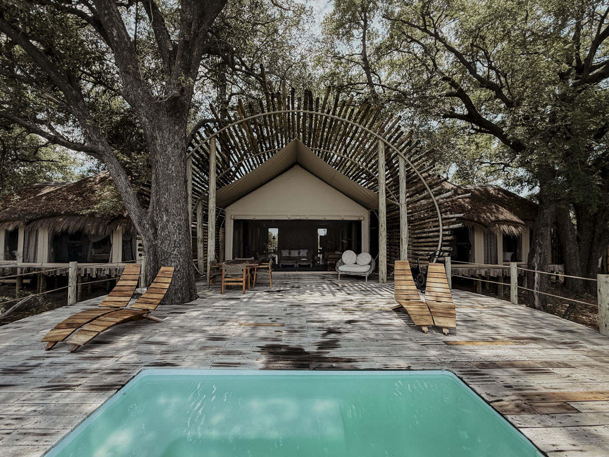 COCOtravel Botswana GreatPlains SitatungaPrivateIsland Suite Pool 8 COCOtravel Botswana GreatPlains SitatungaPrivateIsland Suite Pool 8