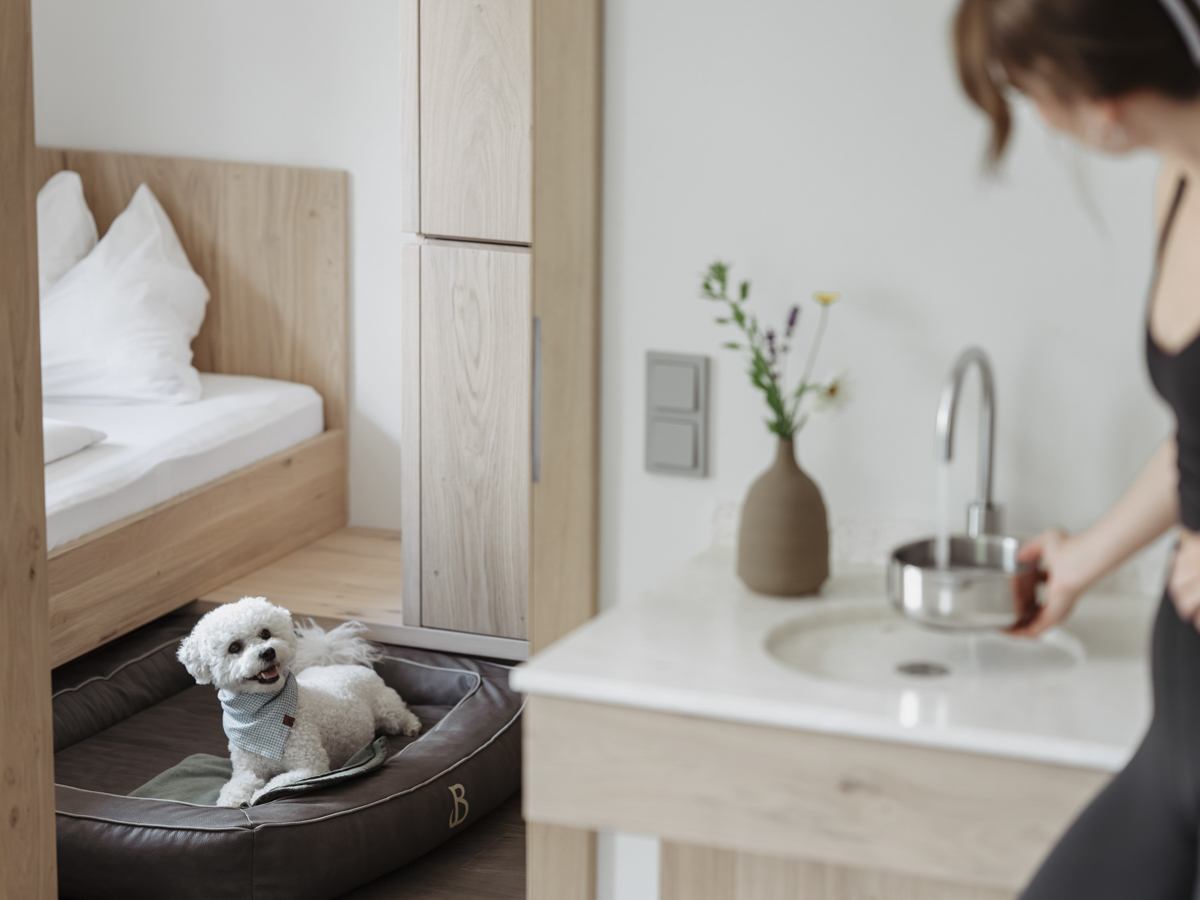 Bergzeit 00514 Bergzeit 00514