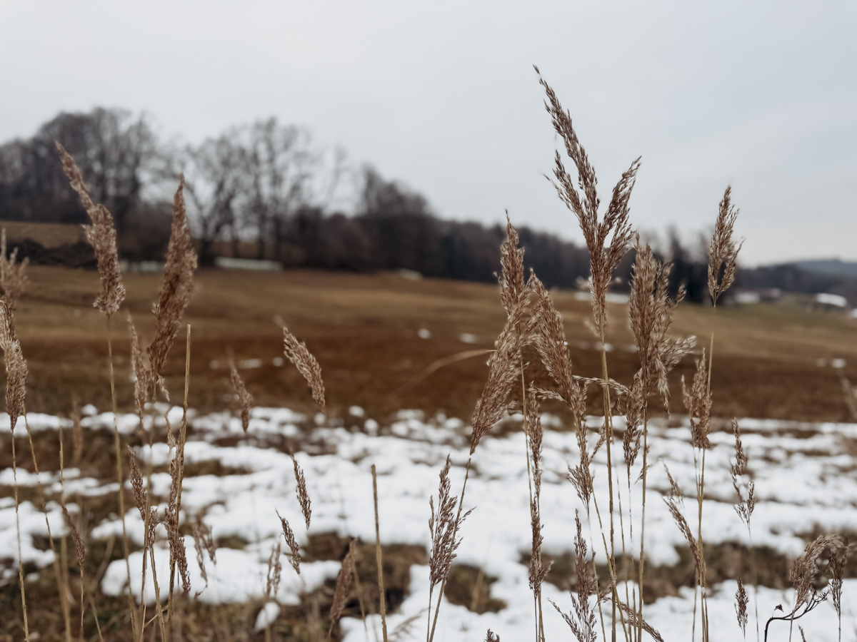 COCOtravel Deutschland Bayerisch Gmain Klosterhof Aussenbereich 2 COCOtravel Deutschland Bayerisch Gmain Klosterhof Aussenbereich 2