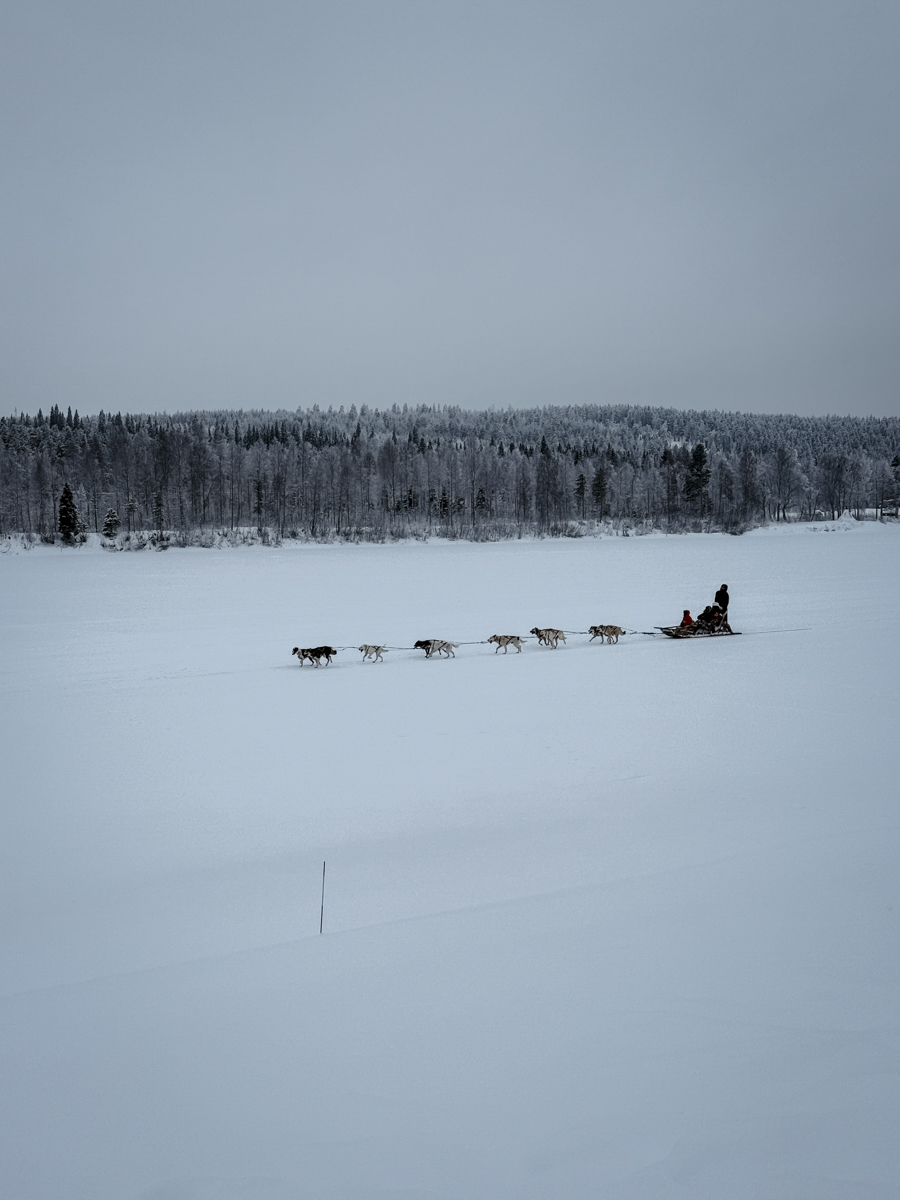 COCOtravel Lappland NovaGalaxyVillage Huskies 5