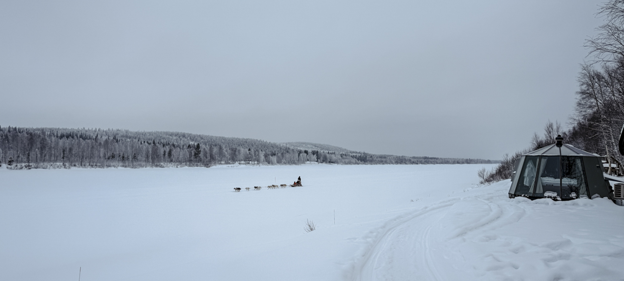 COCOtravel Lappland NovaGalaxyVillage Huskies 7 Headerbild