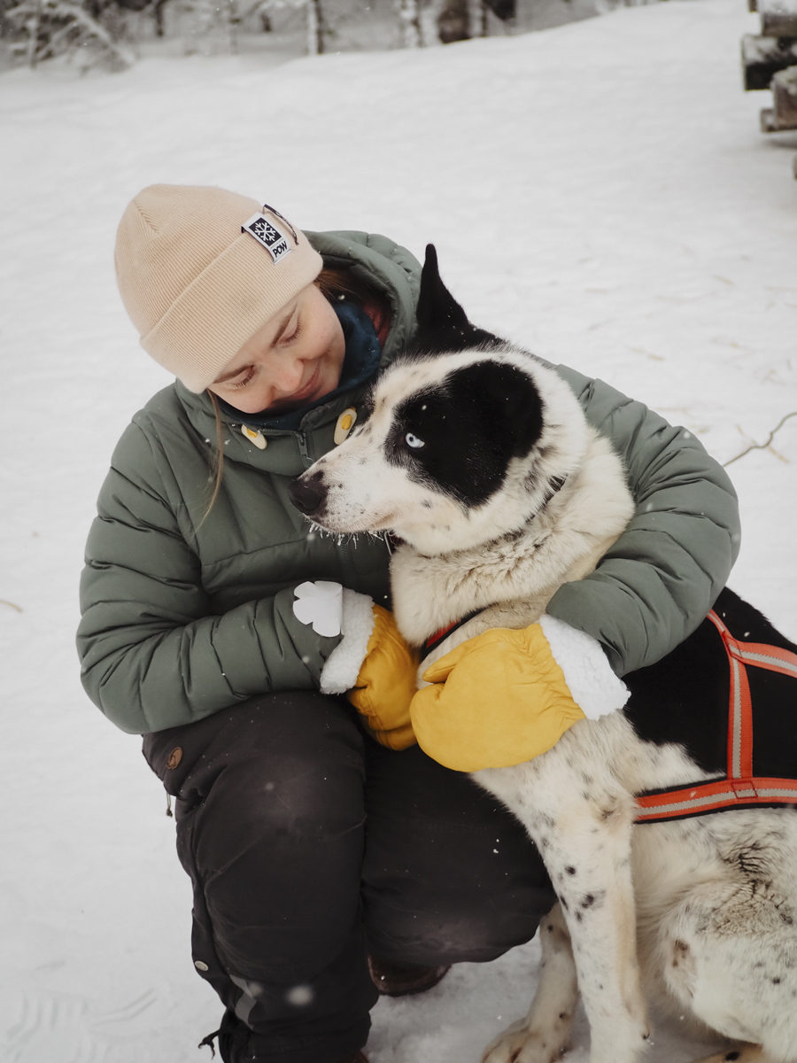 COCOtravel Lappland NovaGalaxyVillage Huskyfarm 1