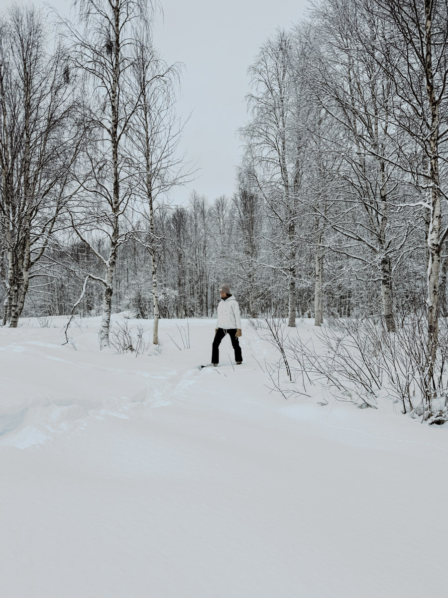 COCOtravel Lappland NovaGalaxyVillage Schneeschuhwanderung 2