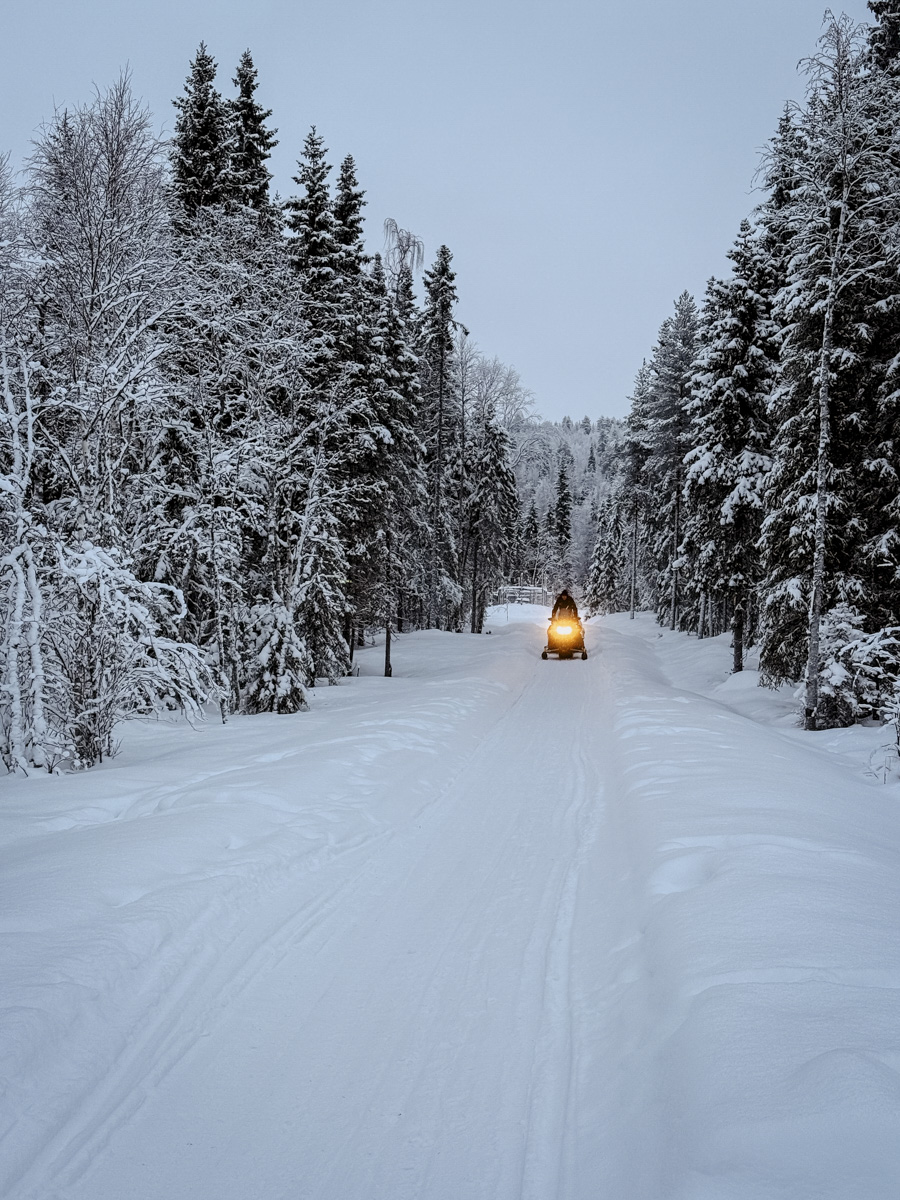 COCOtravel Lappland NovaGalaxyVillage Umgebung Winterwonderland 13