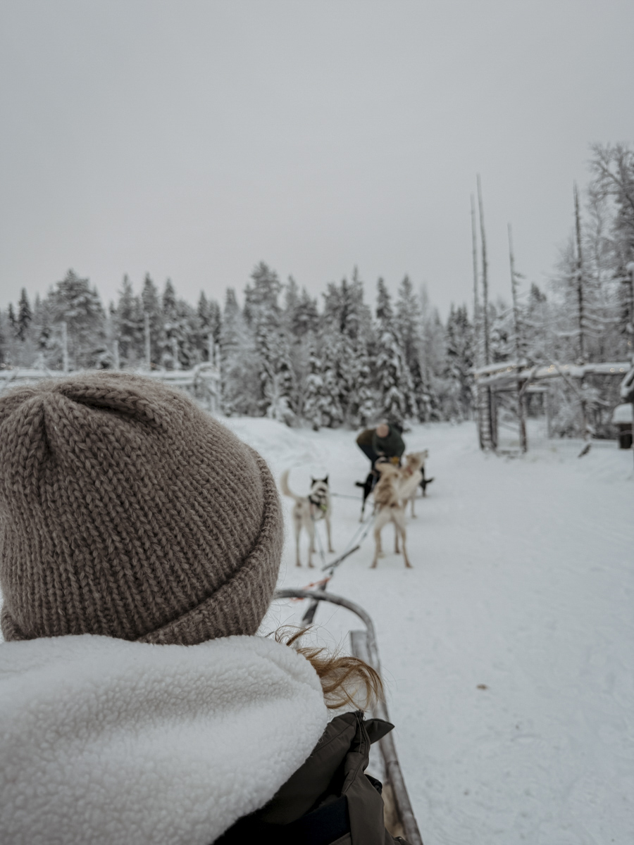 COCOtravel Lappland NovaSkylandHotel HuskyTour 3