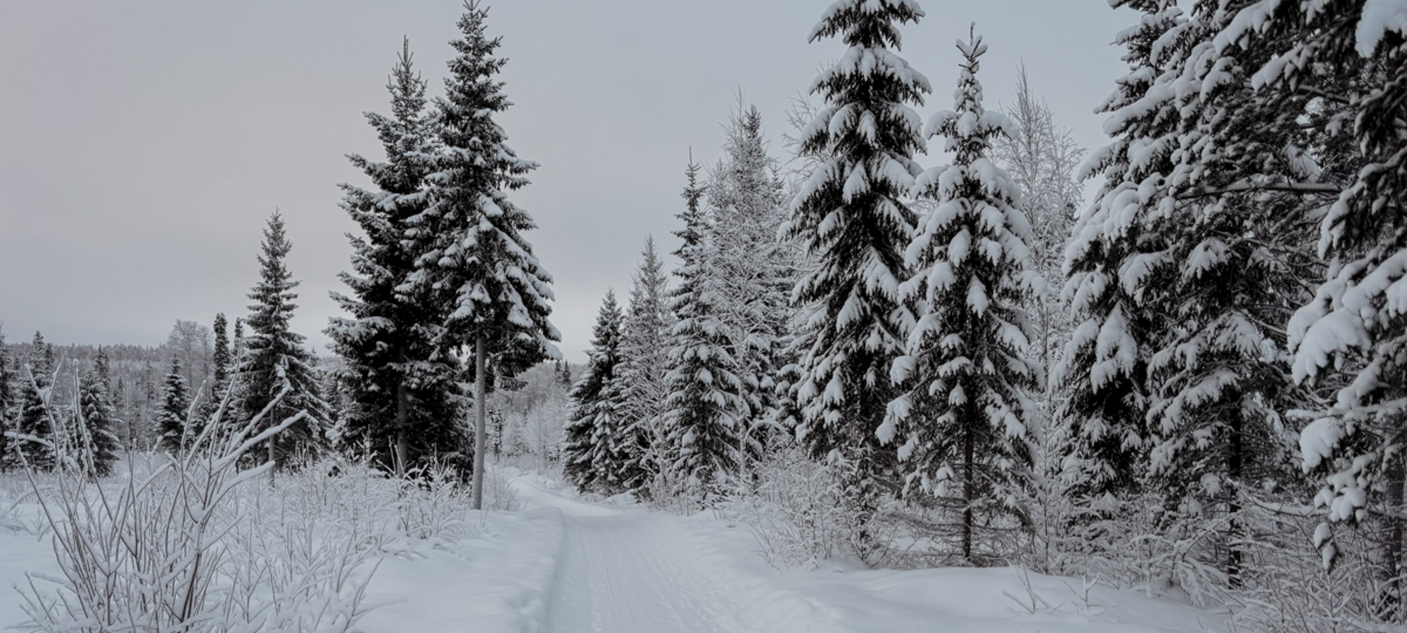 COCOtravel Lappland NovaSkylandHotel HuskyTour 32 Header