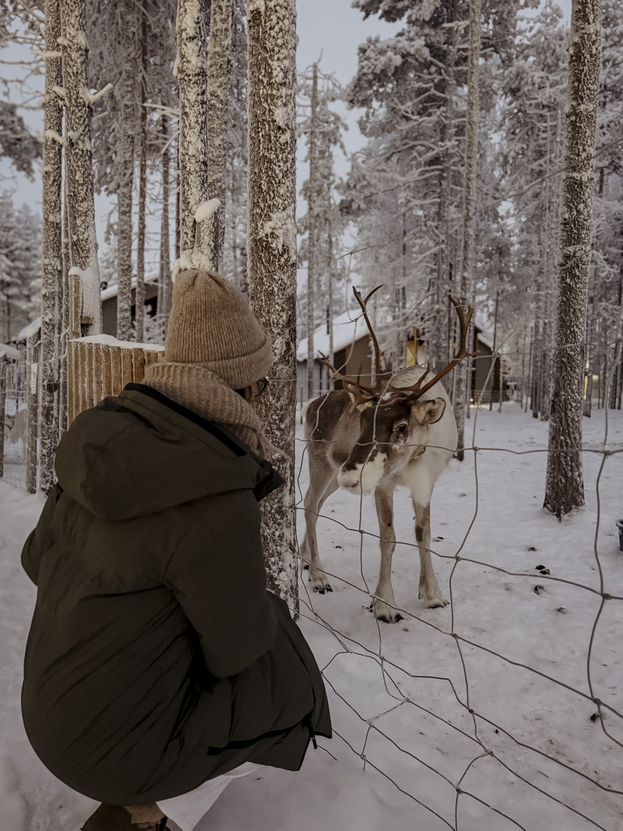 COCOtravel Lappland NovaSkylandHotel Rentiere 2