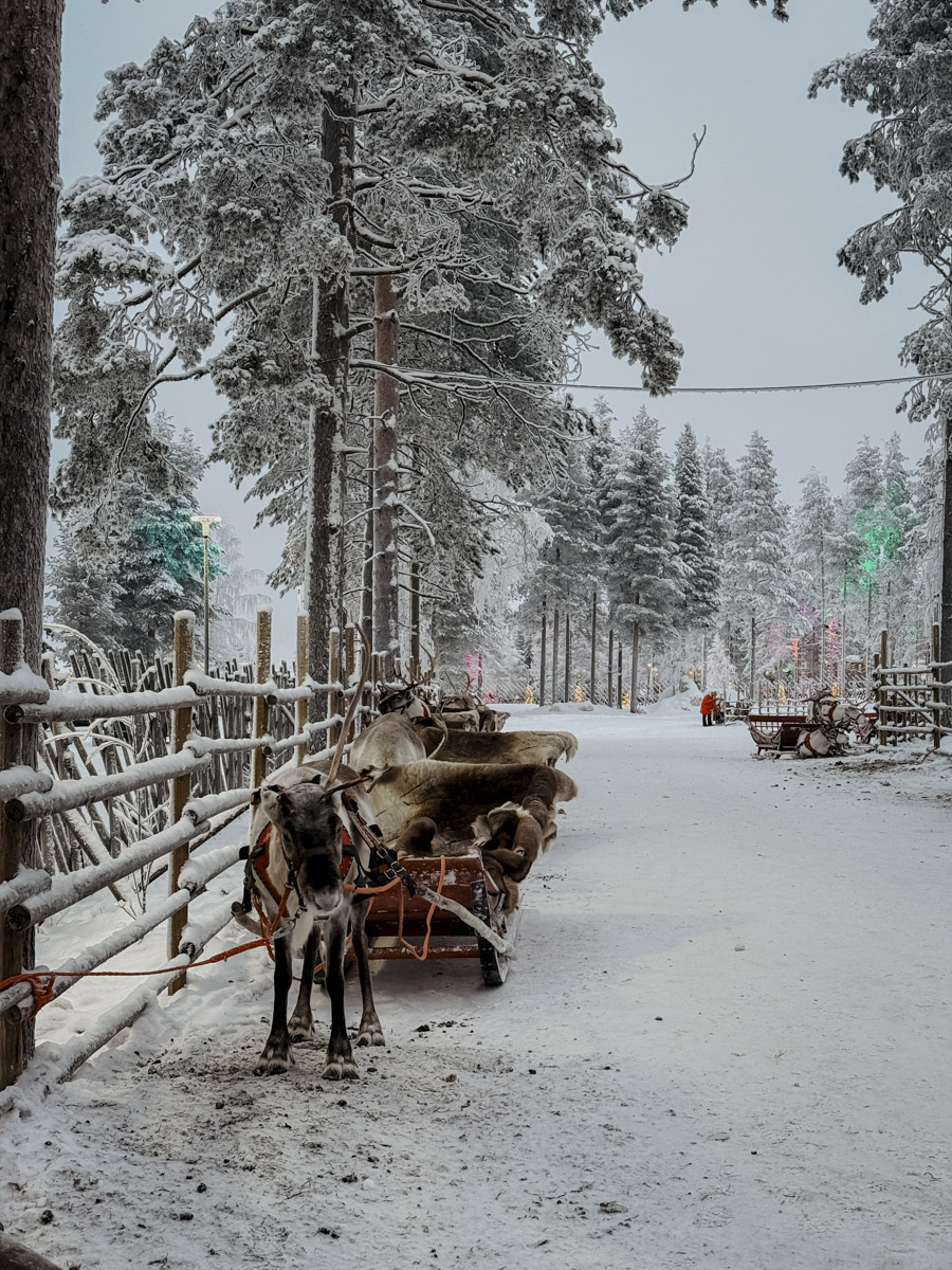 COCOtravel Lappland NovaSkylandHotel SantaVillage 18