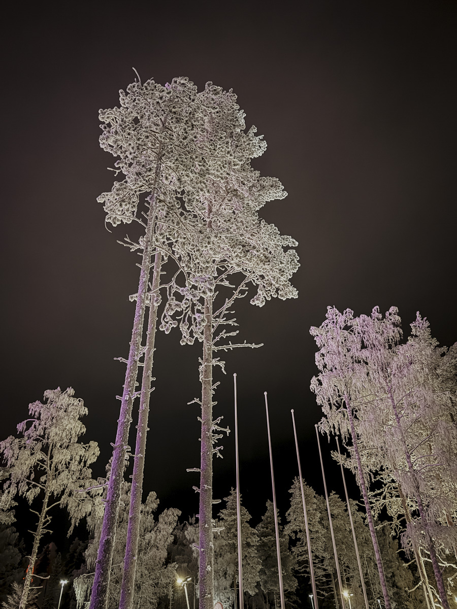 COCOtravel Lappland NovaSkylandHotel Winterwonderland 2