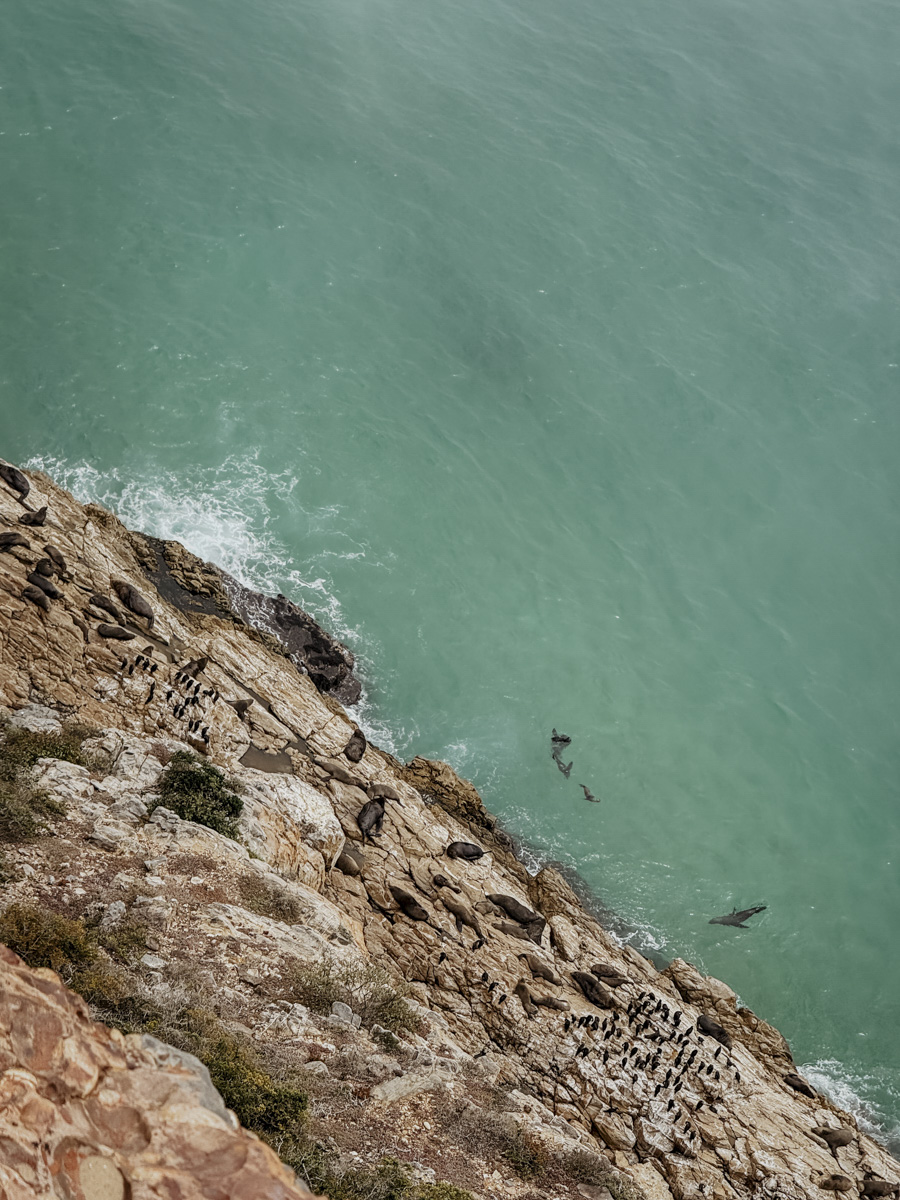 COCOtravel Suedafrika TsalaTreetopLodge Ausflug 3 COCOtravel Suedafrika TsalaTreetopLodge Ausflug 3