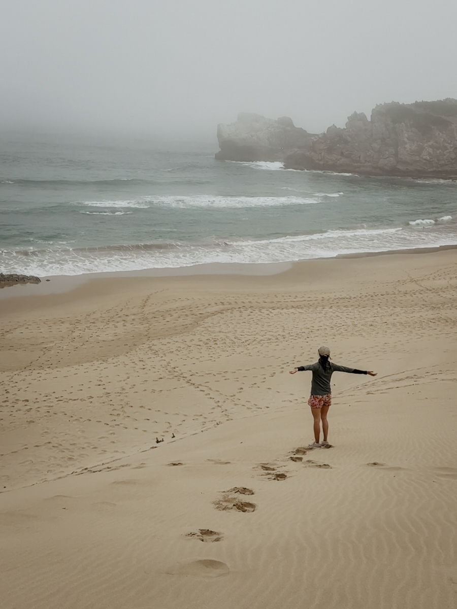 COCOtravel Suedafrika TsalaTreetopLodge Ausflug 6