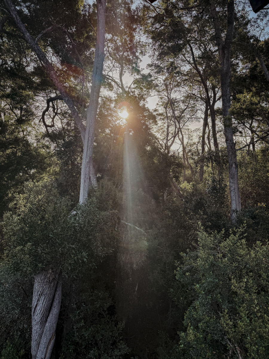 COCOtravel Suedafrika TsalaTreetopLodge Suite Terrasse 10