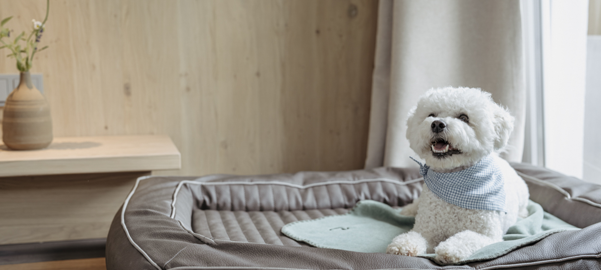 Header Bergzeit 00258