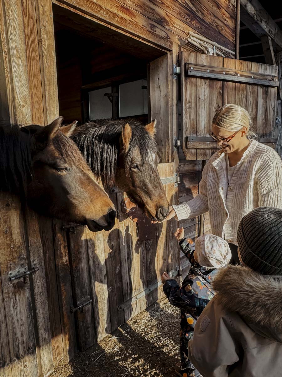 COCOtravel Oesterreich Kesselgrub Pferdestall 2