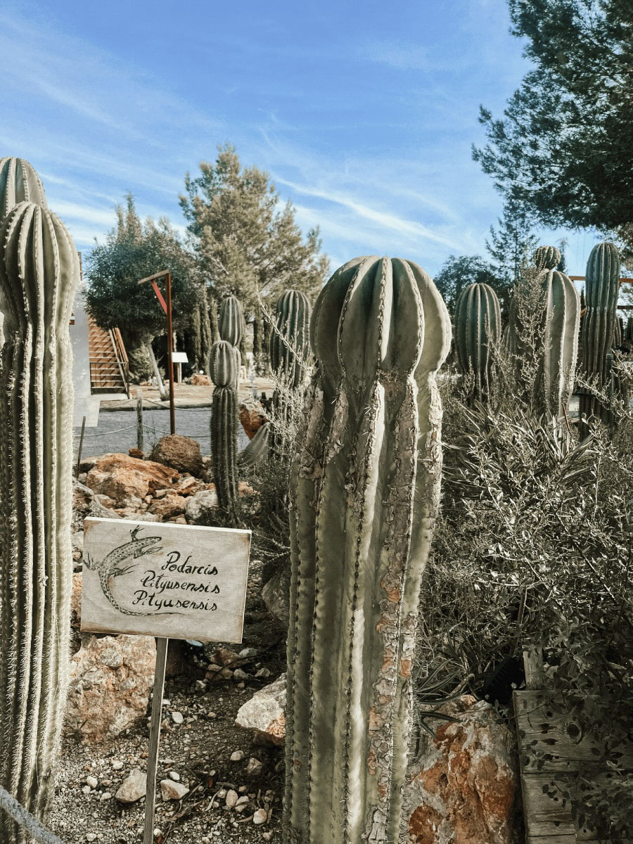 COCOTravel SantAntoni BIBOPark