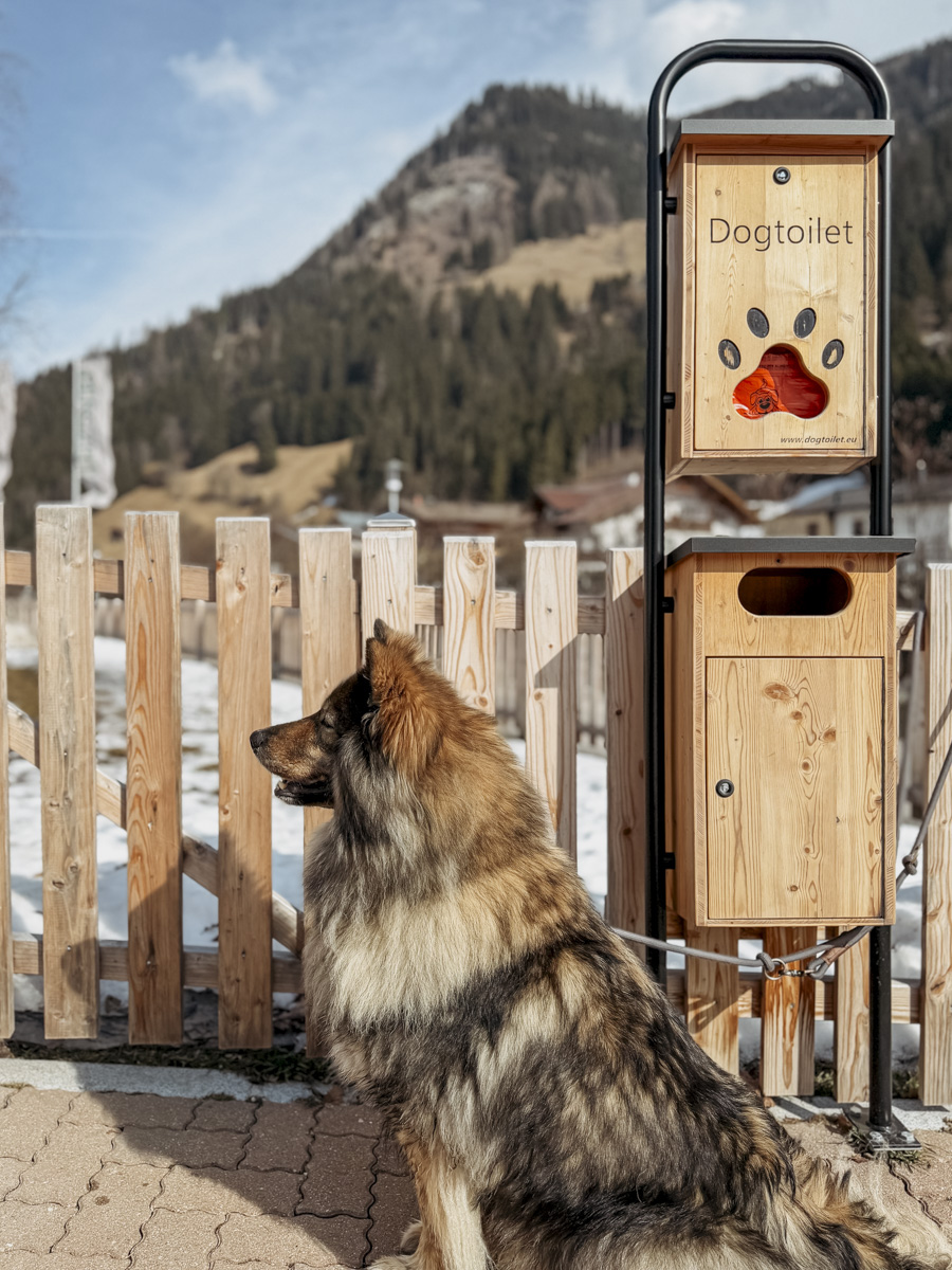 Cocotravel Oesterreich Grossarl Bergzeit 32 Cocotravel Oesterreich Grossarl Bergzeit 32