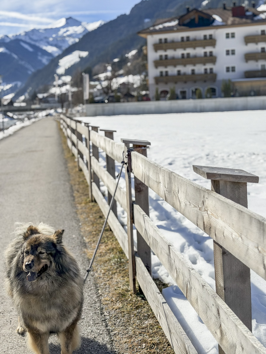 Cocotravel Oesterreich Grossarl Bergzeit Aussenansicht 20 Cocotravel Oesterreich Grossarl Bergzeit Aussenansicht 20