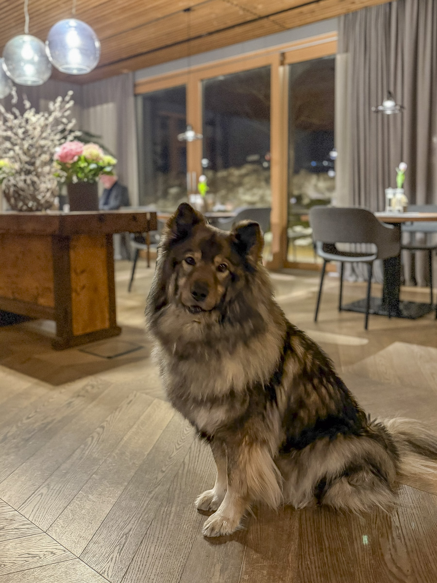 Cocotravel Oesterreich Grossarl Bergzeit Restaurant 16 Cocotravel Oesterreich Grossarl Bergzeit Restaurant 16