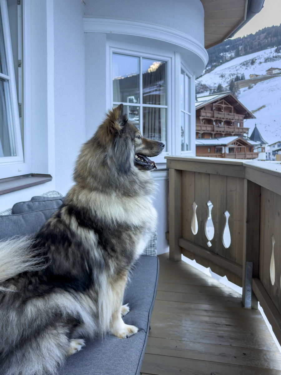 Cocotravel Oesterreich Grossarl Bergzeit Zimmer 13 Cocotravel Oesterreich Grossarl Bergzeit Zimmer 13